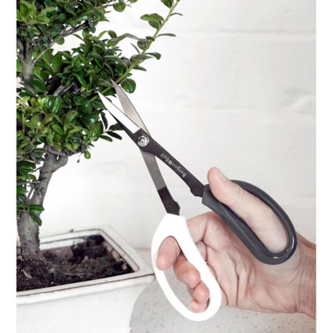 Japanese Pruning Scissors – Burgon & Ball
